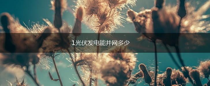 1光伏发电能并网多少,第1张