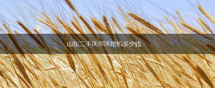 山东二手沃尔沃挖机多少钱,第1张