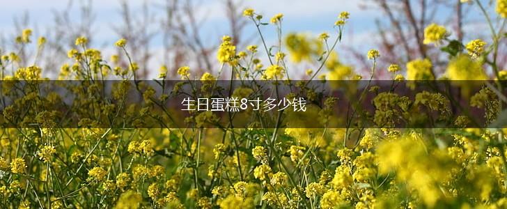 生日蛋糕8寸多少钱,第1张