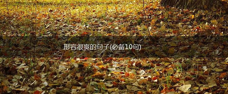 形容很爽的句子(必备10句),第1张