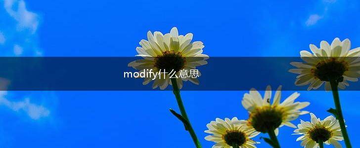 modify什么意思,第1张