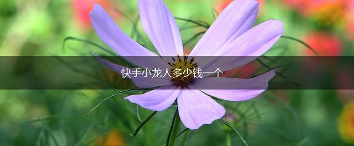 快手小龙人多少钱一个,第1张