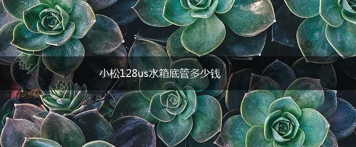 小松128us水箱底管多少钱,第1张