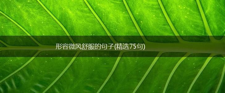 形容微风舒服的句子(精选75句),第1张