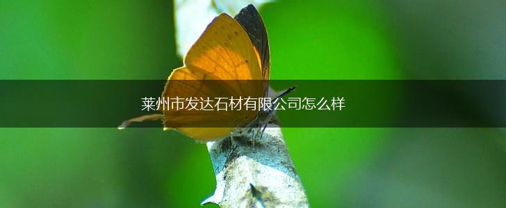 莱州市发达石材有限公司怎么样,第1张