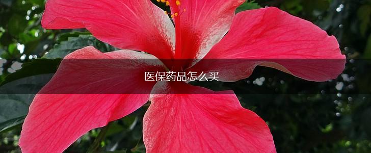 医保药品怎么买,第1张