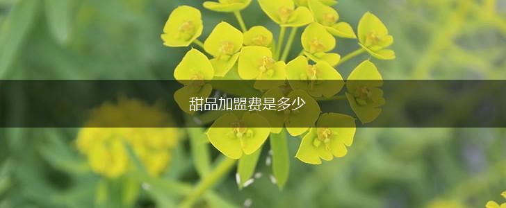 甜品加盟费是多少,第1张