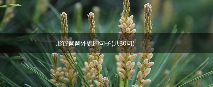 形容爸爸外貌的句子(共30句),第1张