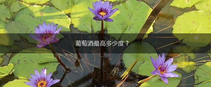 葡萄酒最高多少度？,第1张