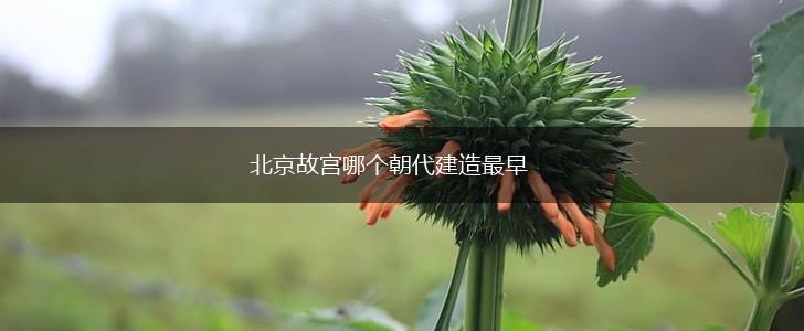 北京故宫哪个朝代建造最早,第1张