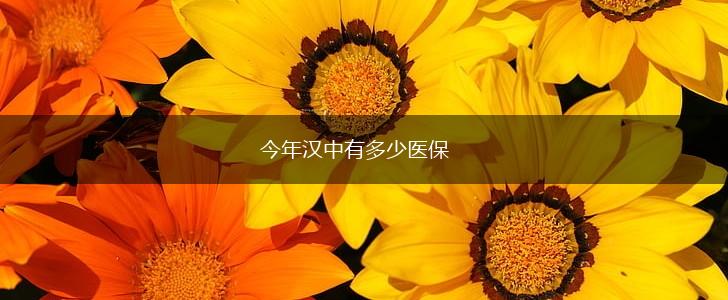 今年汉中有多少医保,第1张