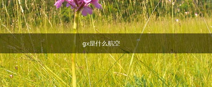 gx是什么航空,第1张