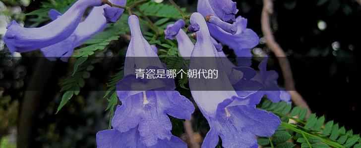 青瓷是哪个朝代的,第1张