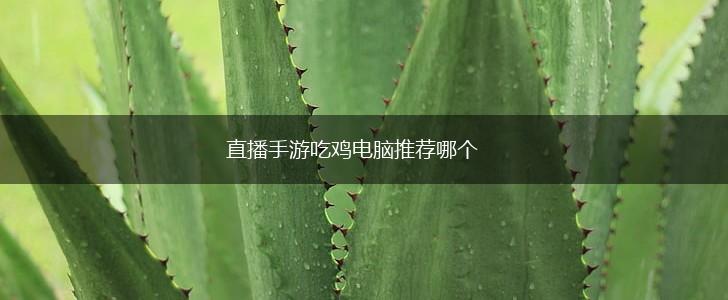 直播手游吃鸡电脑推荐哪个,第1张