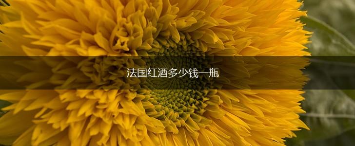 法国红酒多少钱一瓶,第1张