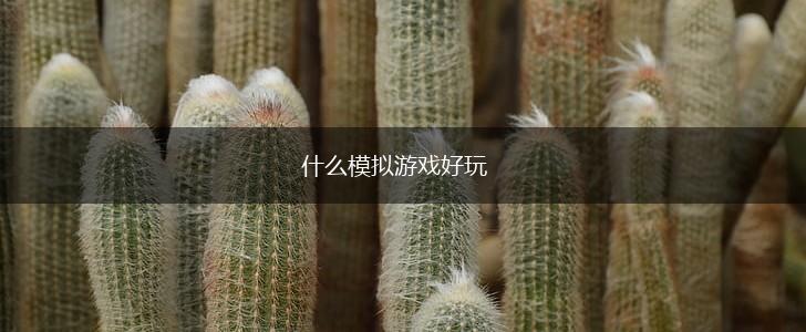 什么模拟游戏好玩,第1张