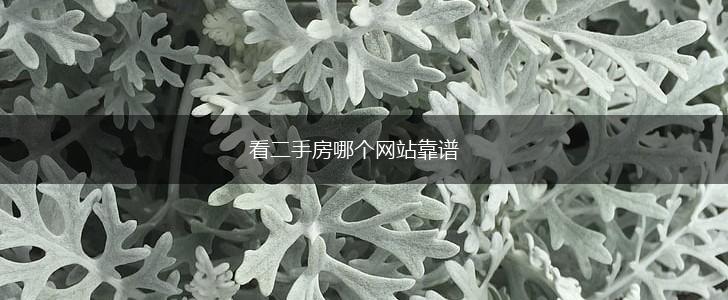 看二手房哪个网站靠谱,第1张