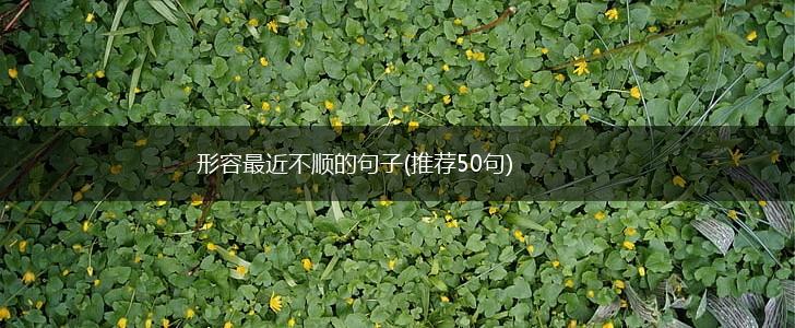 形容最近不顺的句子(推荐50句),第1张