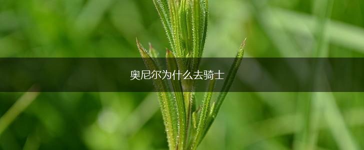 奥尼尔为什么去骑士,第1张