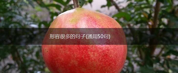 形容很多的句子(通用50句),第1张