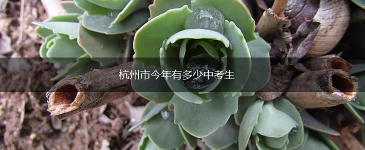 杭州市今年有多少中考生,第1张