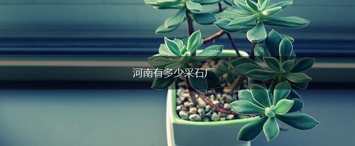 河南有多少采石厂,第1张