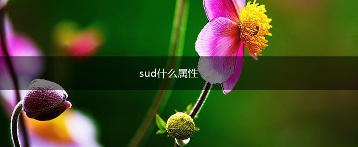 sud什么属性,第1张