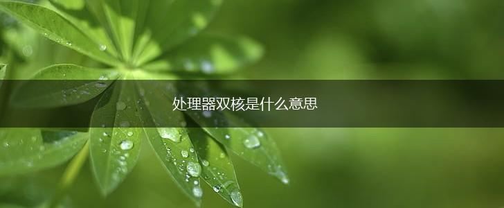 处理器双核是什么意思,第1张