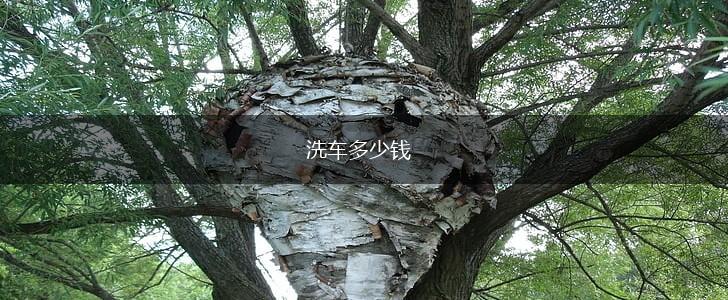 洗车多少钱,第1张
