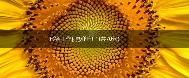 形容工作积极的句子(共70句),第1张