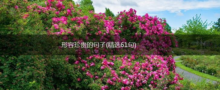 形容珍贵的句子(精选61句),第1张