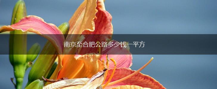 南京至合肥公路多少钱一平方,第1张