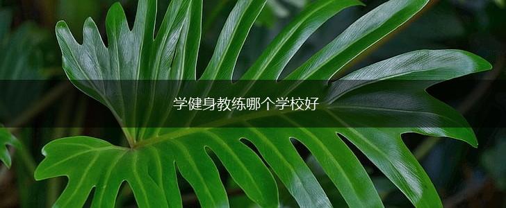 学健身教练哪个学校好,第1张
