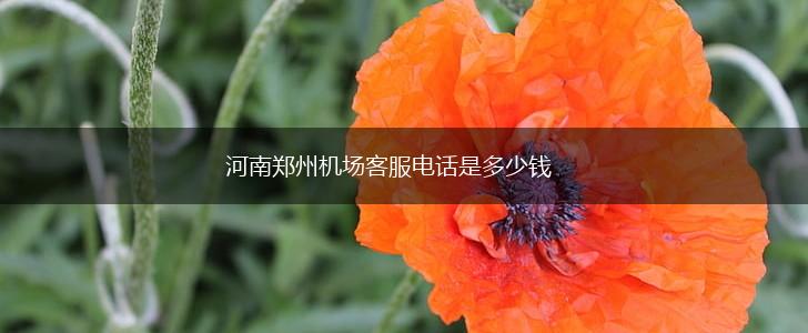 河南郑州机场客服电话是多少钱,第1张