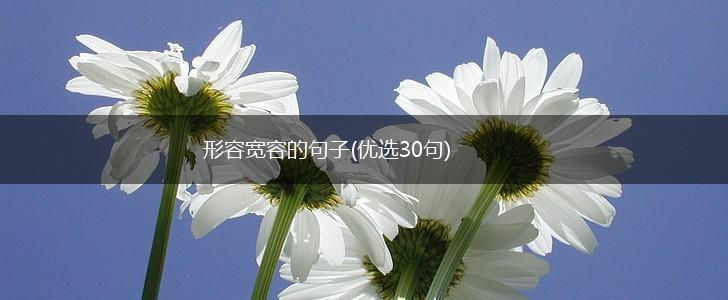 形容宽容的句子(优选30句),第1张