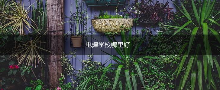 电焊学校哪里好,第1张