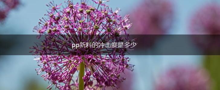 pp新料的冲击度是多少,第1张