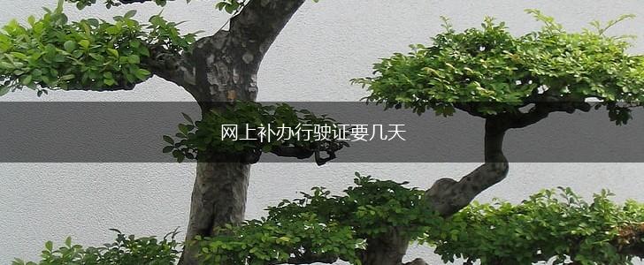 网上补办行驶证要几天,第1张