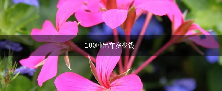 三一100吨吊车多少钱,第1张