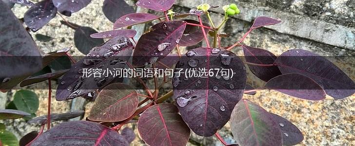 形容小河的词语和句子(优选67句),第1张