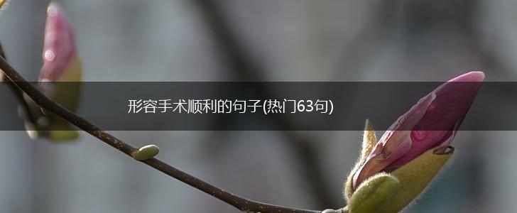 形容手术顺利的句子(热门63句),第1张