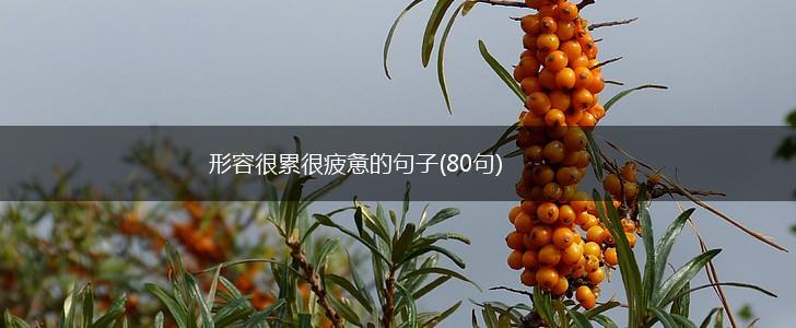 形容很累很疲惫的句子(80句),第1张