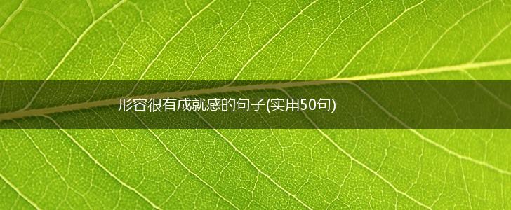 形容很有成就感的句子(实用50句),第1张