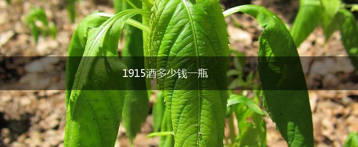 1915酒多少钱一瓶,第1张