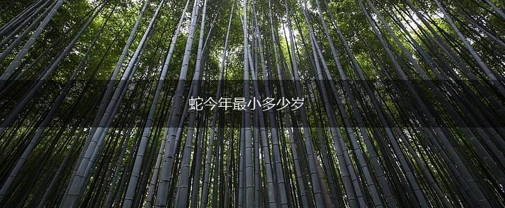 蛇今年最小多少岁,第1张