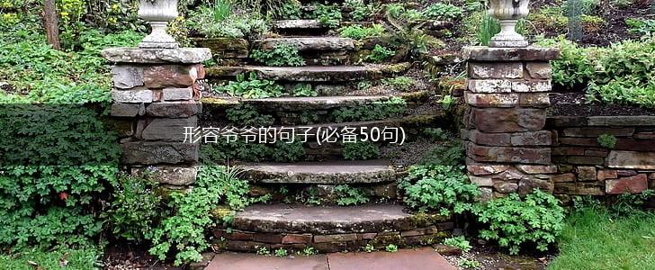 形容爷爷的句子(必备50句),第1张
