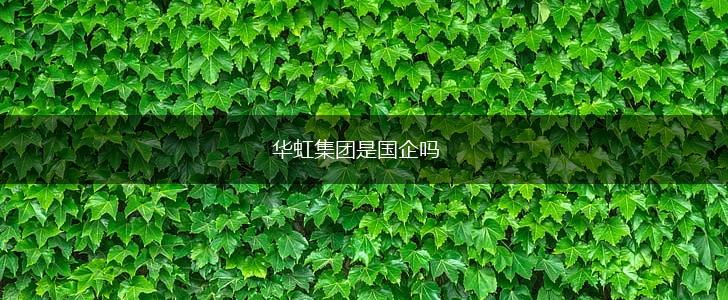 华虹集团是国企吗,第1张 华虹集团是国企吗,第1张