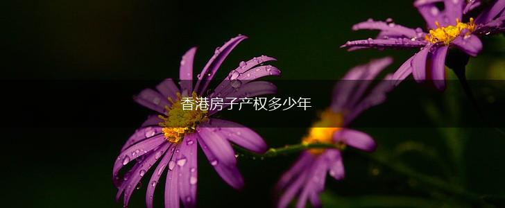 香港房子产权多少年,第1张