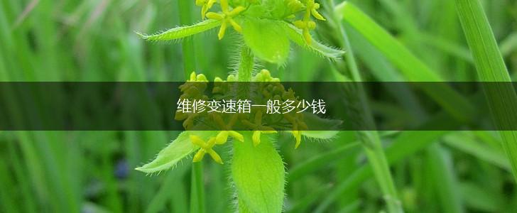 维修变速箱一般多少钱,第1张