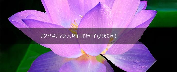 形容背后说人坏话的句子(共60句),第1张